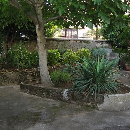 Ilona Πανσιόν 3*